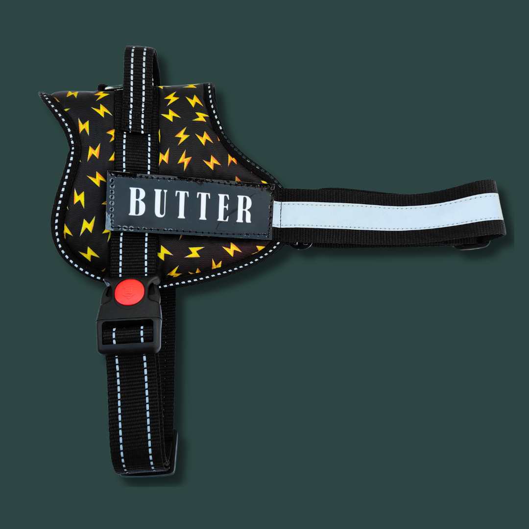 Space No-Pull Dog Harness With Leash