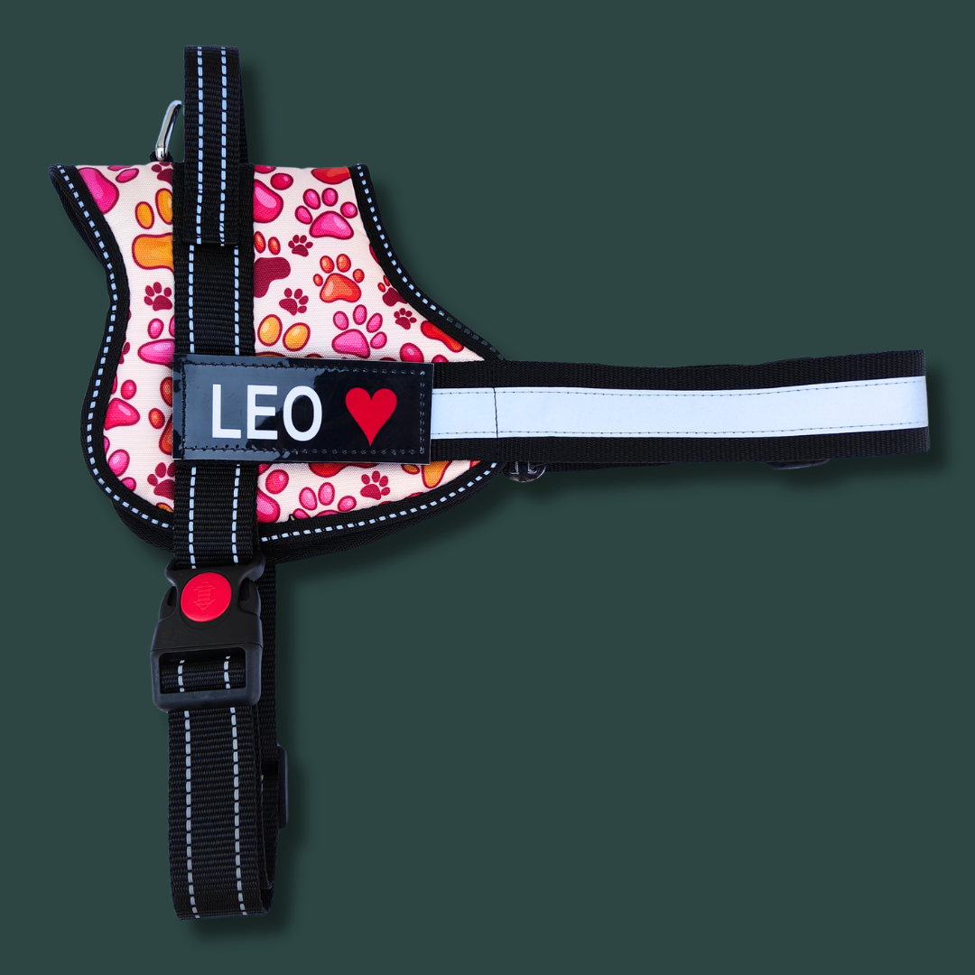 Space No-Pull Dog Harness With Leash