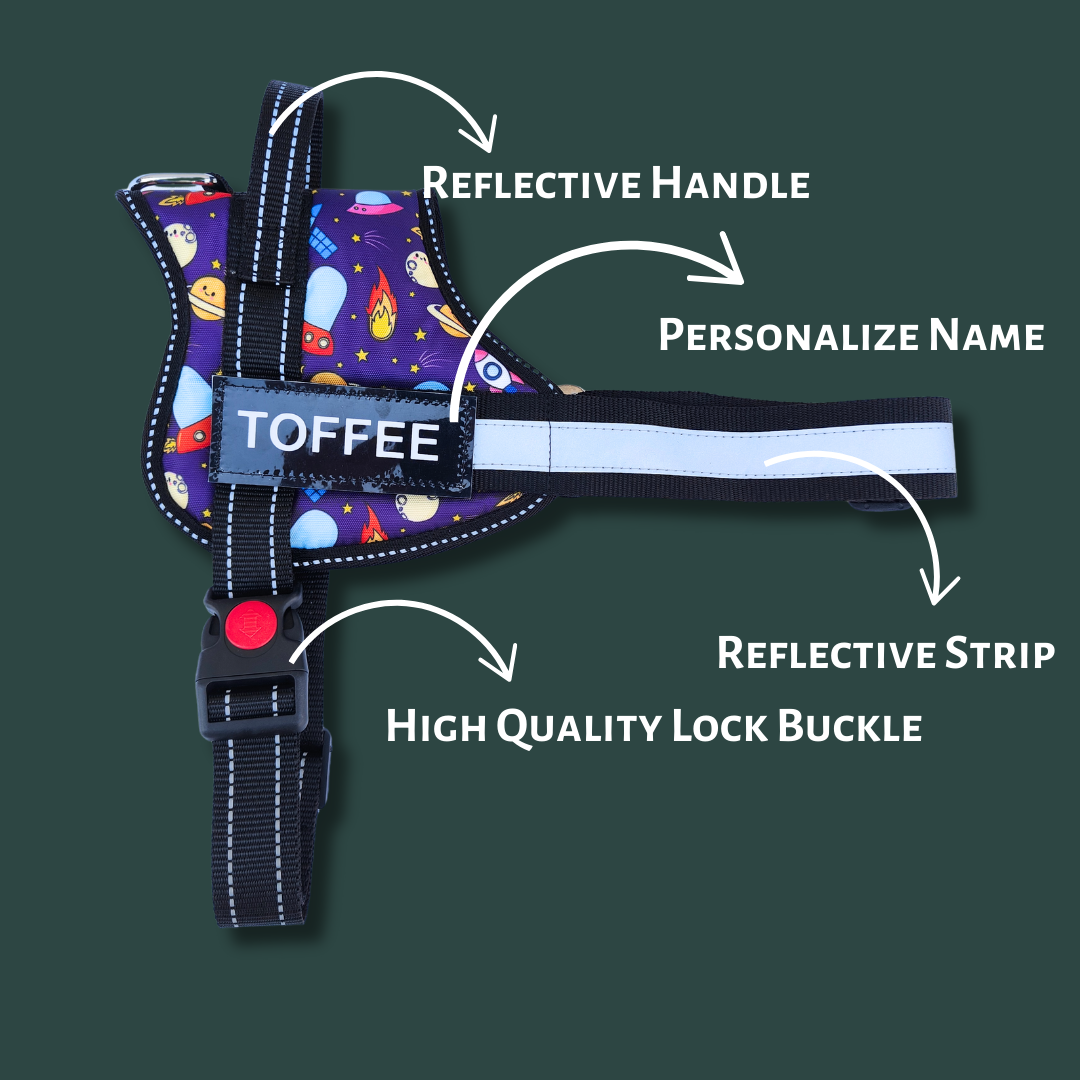 Space No-Pull Dog Harness With Leash