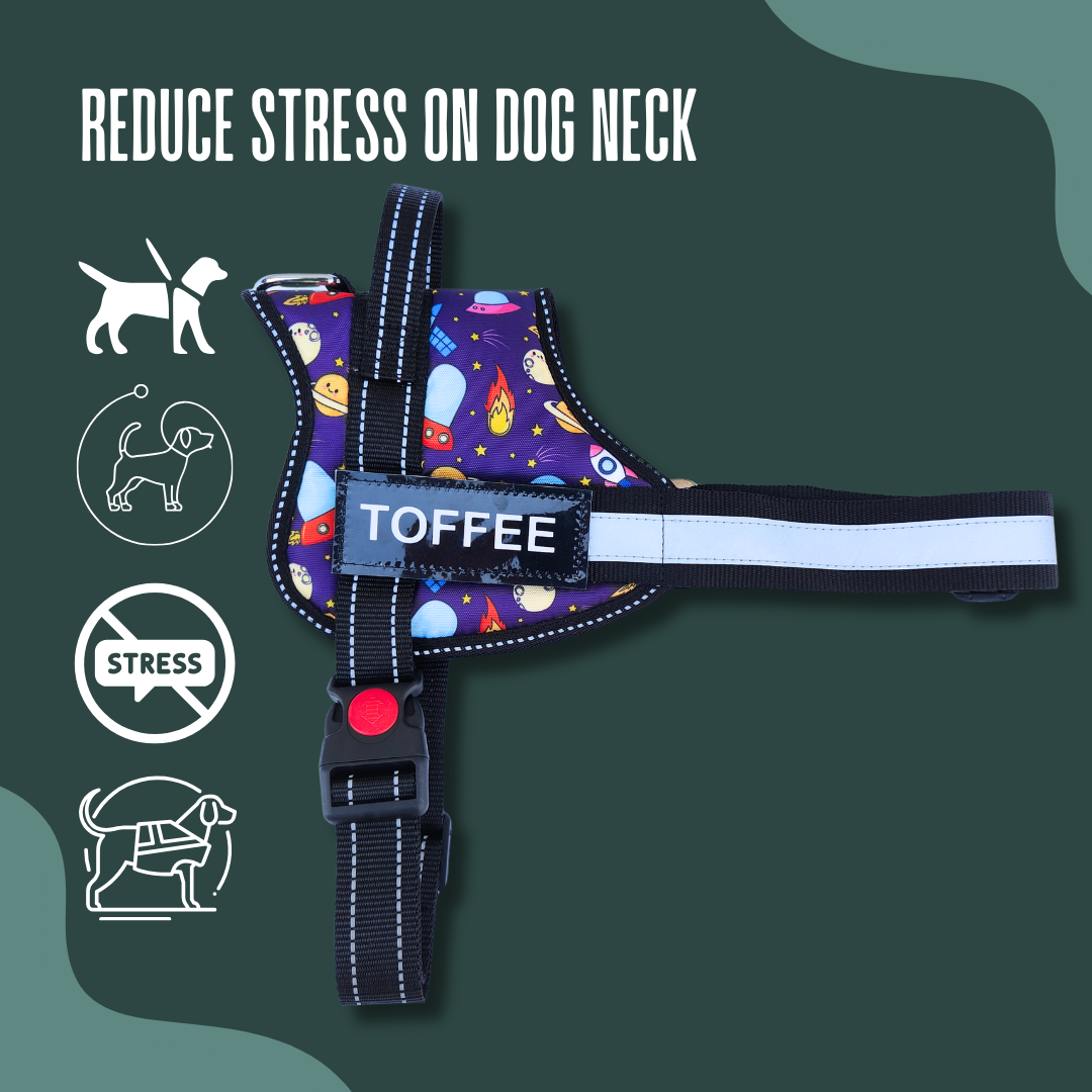 Space No-Pull Dog Harness With Leash