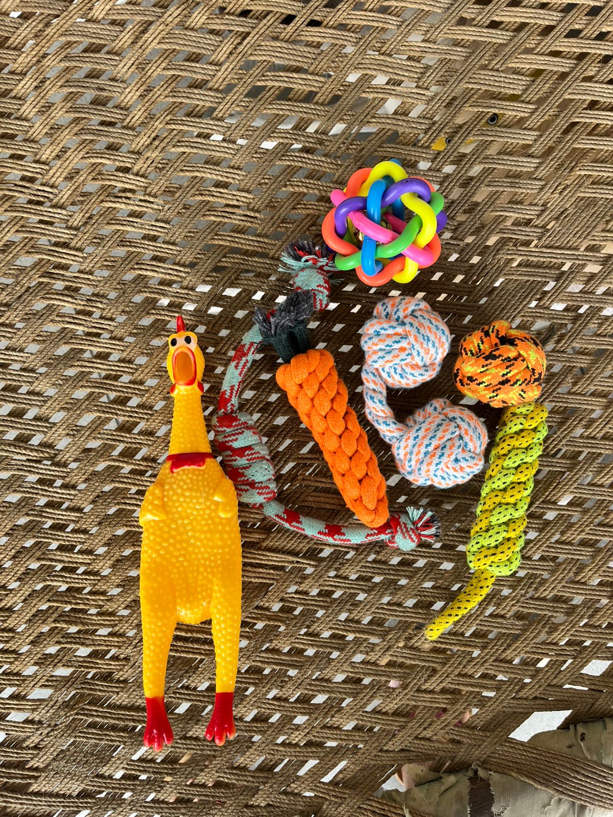 Multicolour Rope toy combo with Mukku stickers