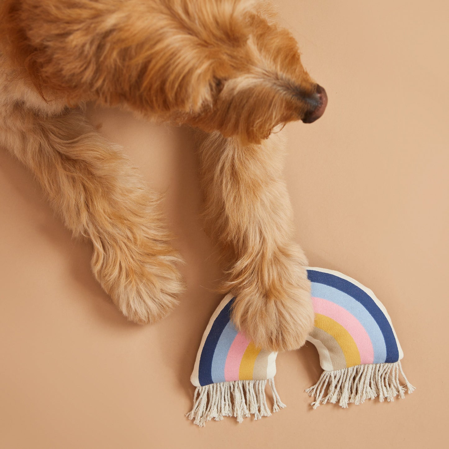 Luxury Leather dog toys 4 in 1 Combo