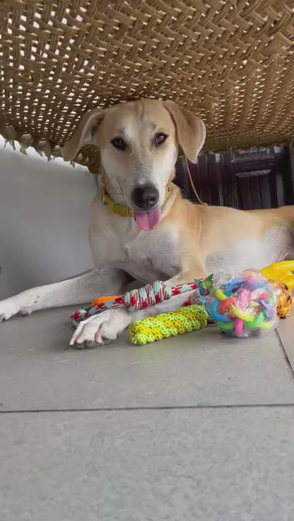 Multicolour Rope toy combo with Mukku stickers